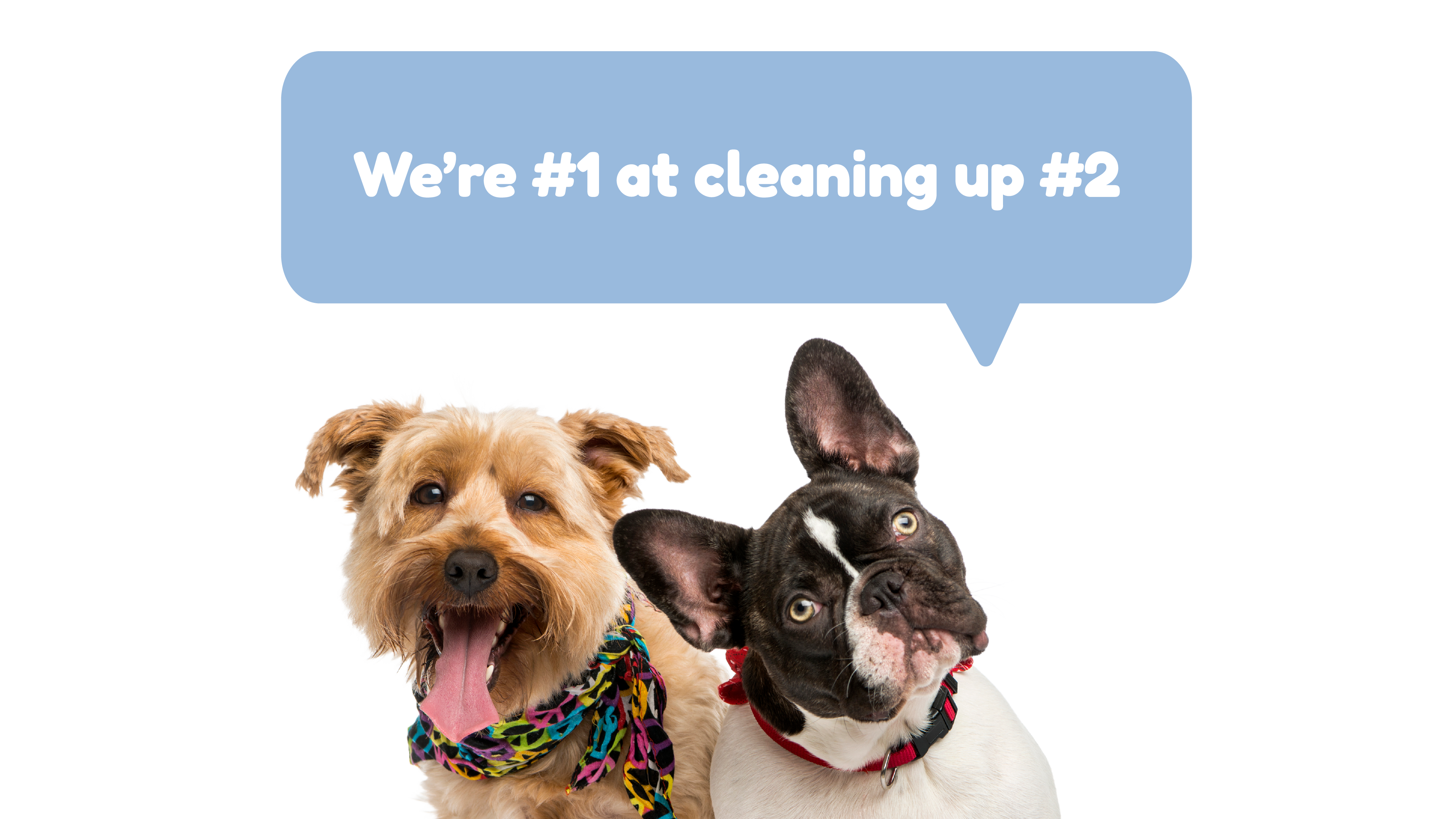 PUP Cleanup Services Slogan